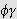 $\phi \gamma $